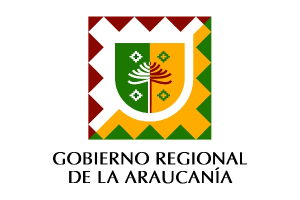 Logo - Gobierno regional <br>de La Araucanía